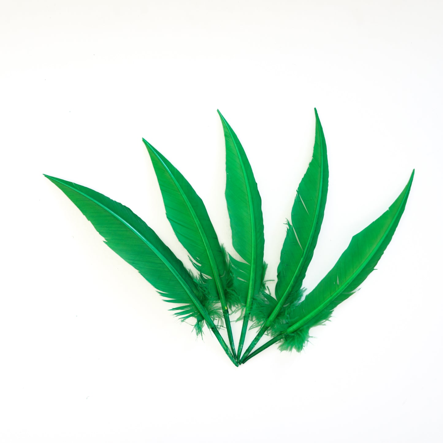 Kelly Green Dagger Turkey Quill Feathers 9-12"