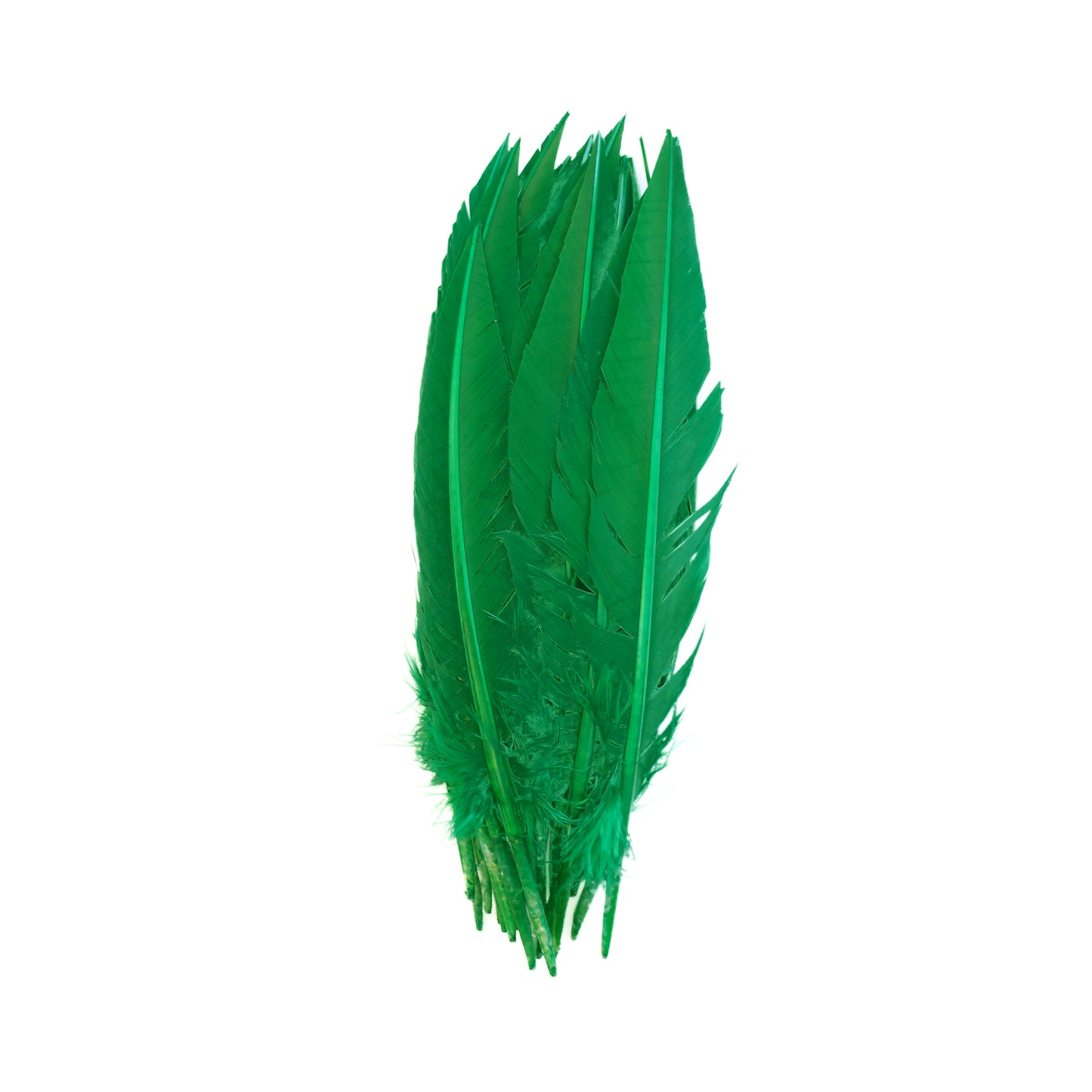 Kelly Green Dagger Turkey Quill Feathers 9-12"
