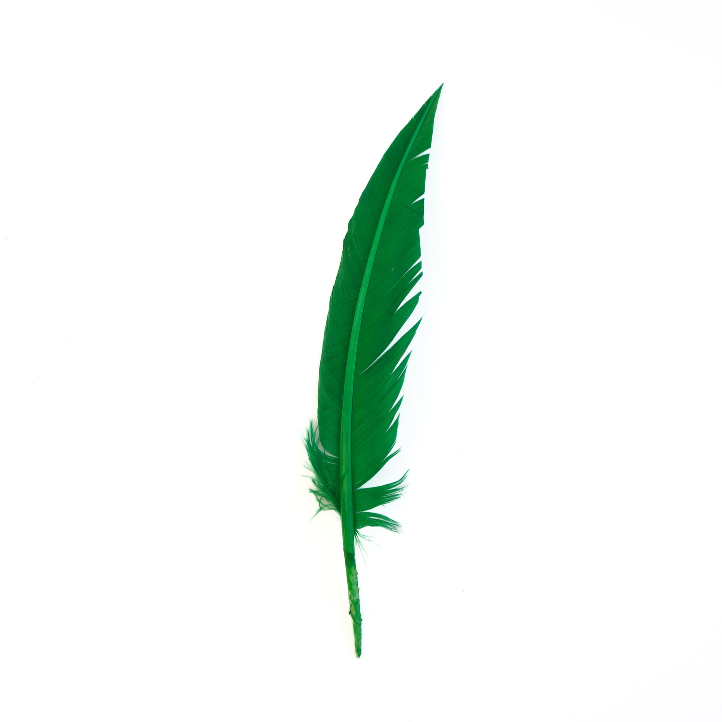 Kelly Green Dagger Turkey Quill Feathers 9-12"
