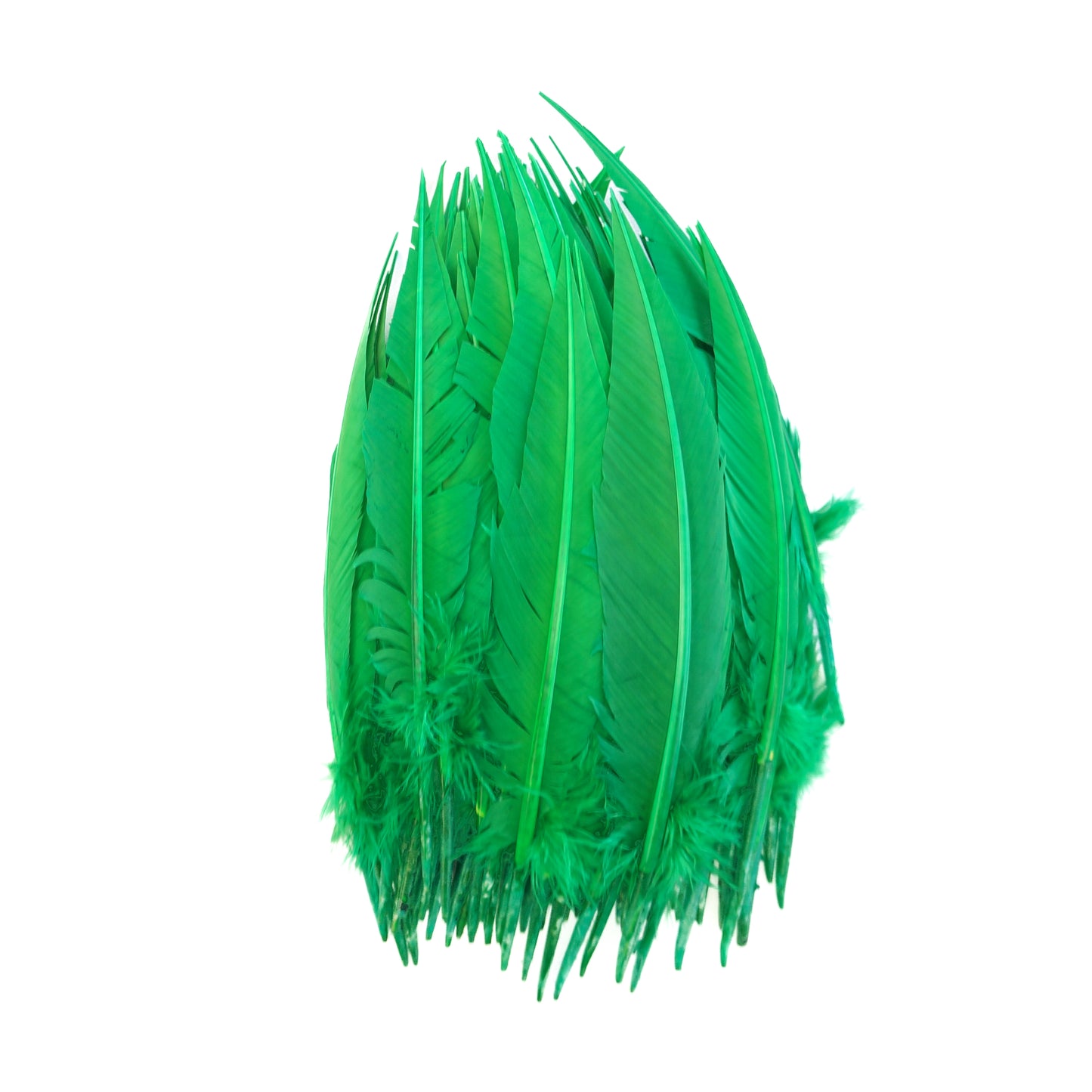 Kelly Green Dagger Turkey Quill Feathers 9-12"
