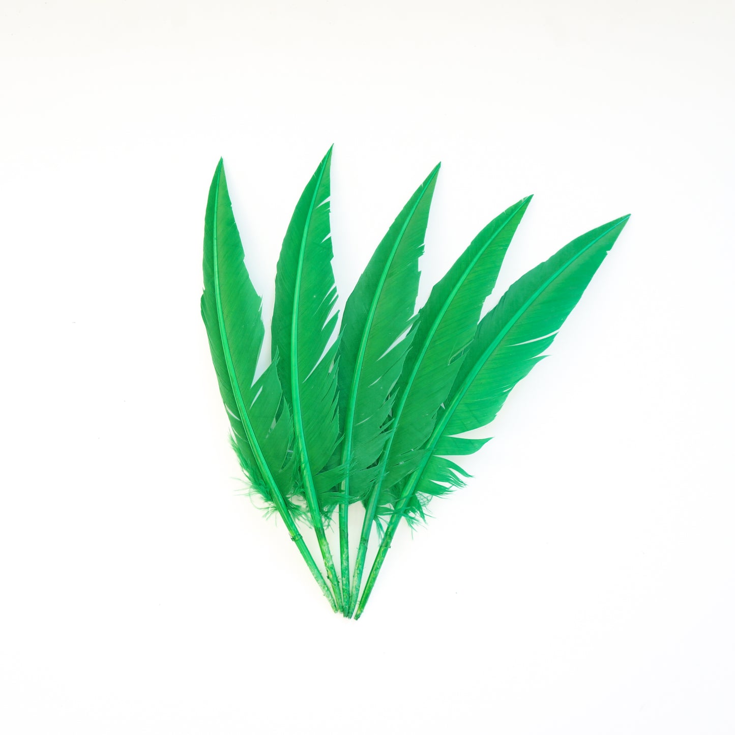Kelly Green Dagger Turkey Quill Feathers 9-12"
