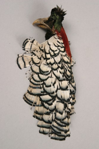 Lady Amherst Pheasant Crest #3 - Natural - Feathers