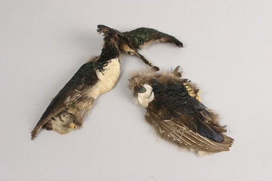 Lady Amherst Pheasant Pelt #3 - Natural - Feathers