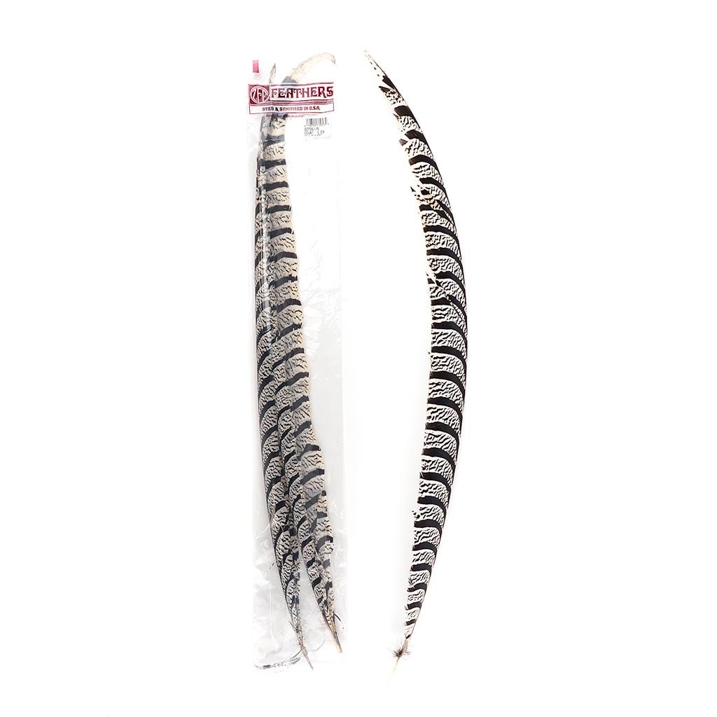 Lady Amherst Pheasant Tails 20-40’’ - Natural - Feathers