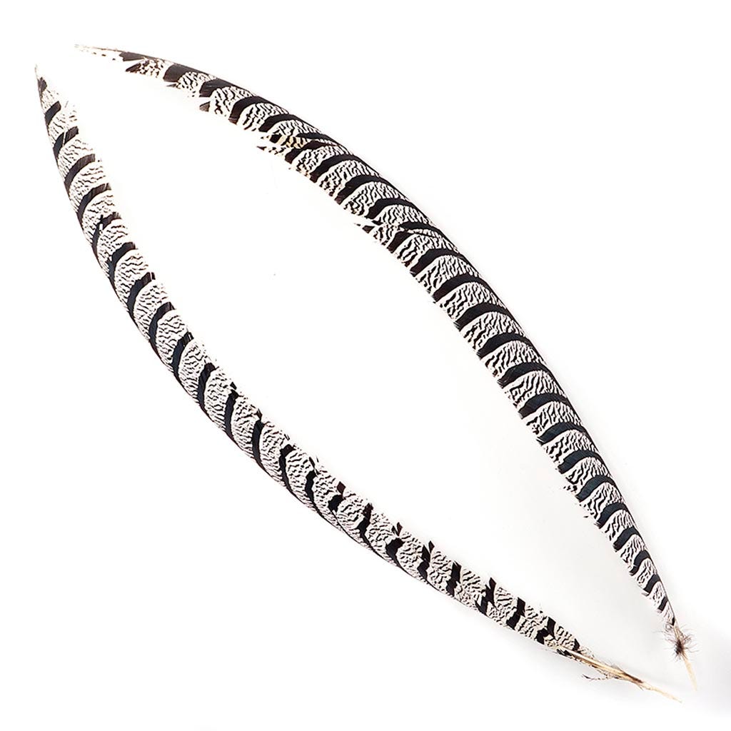 Lady Amherst Pheasant Tails 20-40’’ - Natural - Feathers