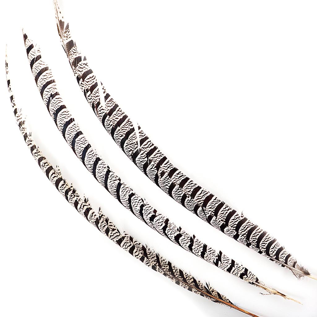 Lady Amherst Pheasant Tails 20-40’’ - Natural - Feathers