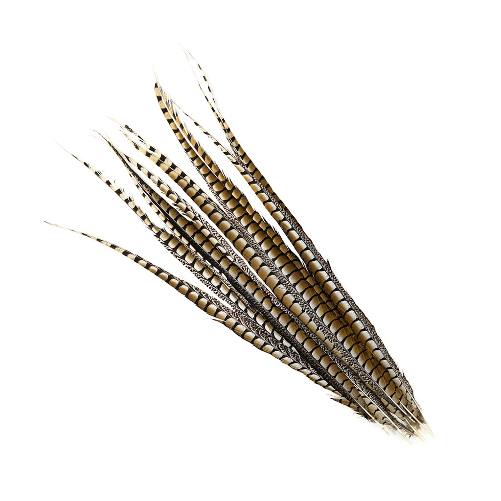 Lady Amherst Pheasant Tails 35’’ and Up- Natural - Feathers