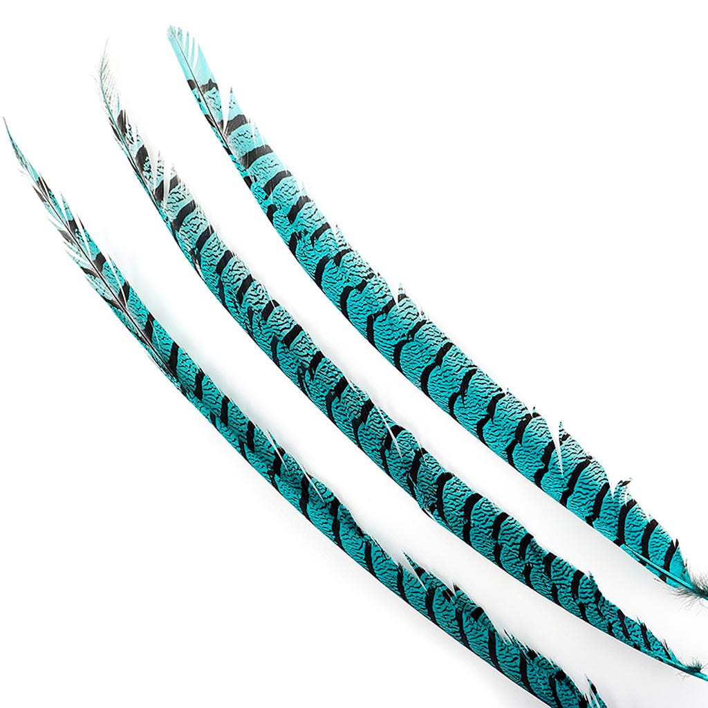 Lady Amherst Pheasant Tails - Dark Aqua - Feathers