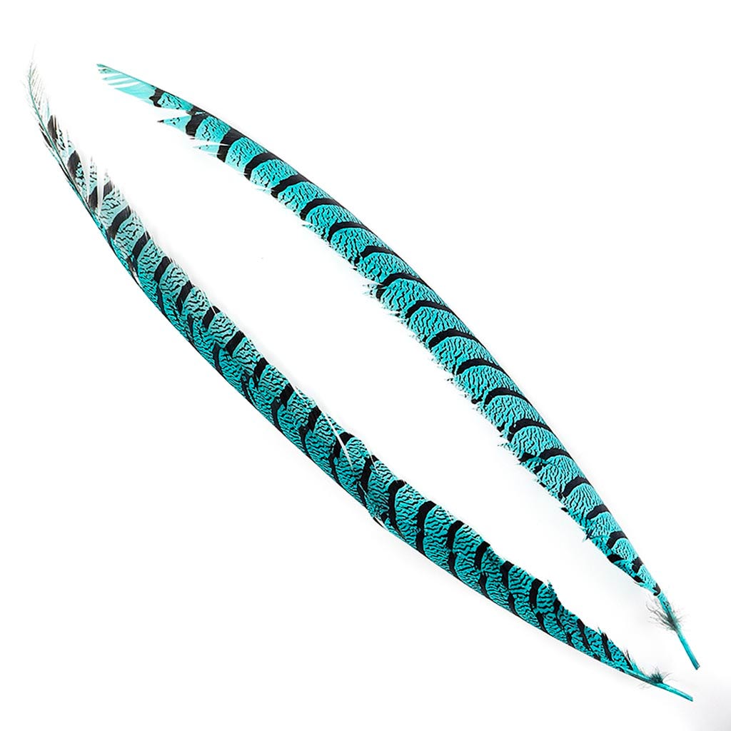 Lady Amherst Pheasant Tails - Dark Aqua - Feathers