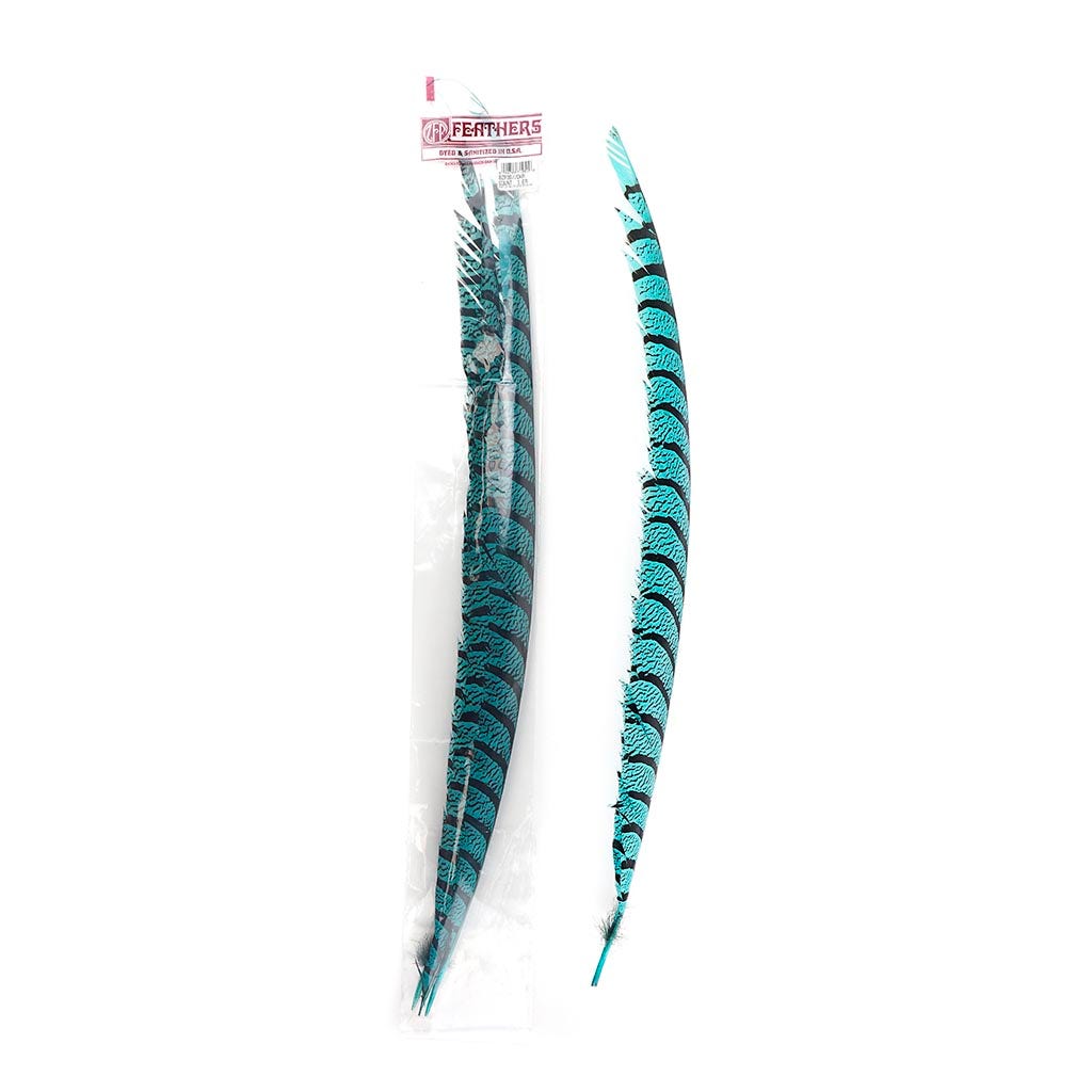 Lady Amherst Pheasant Tails - Dark Aqua - Feathers