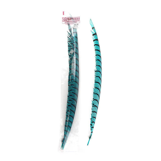 Lady Amherst Pheasant Tails - Dark Aqua - Feathers