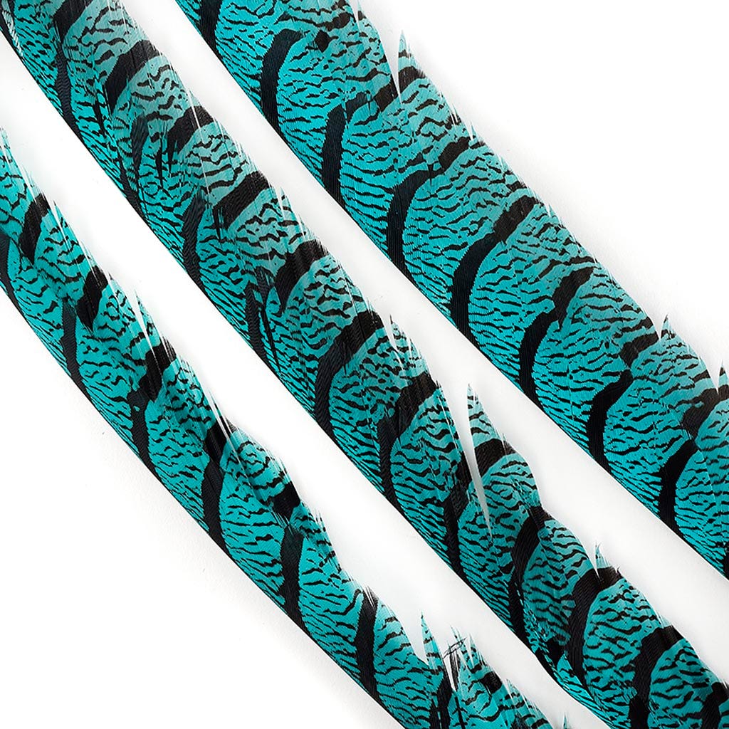 Lady Amherst Pheasant Tails - Dark Aqua - Feathers