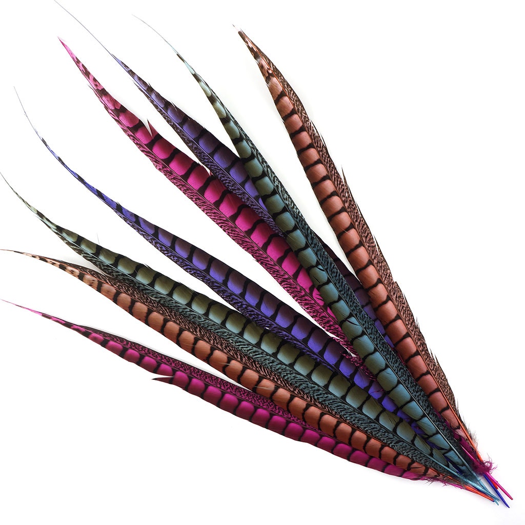 Lady Amherst Pheasant Tails Dyed 1pc Per Package Coral - Feathers