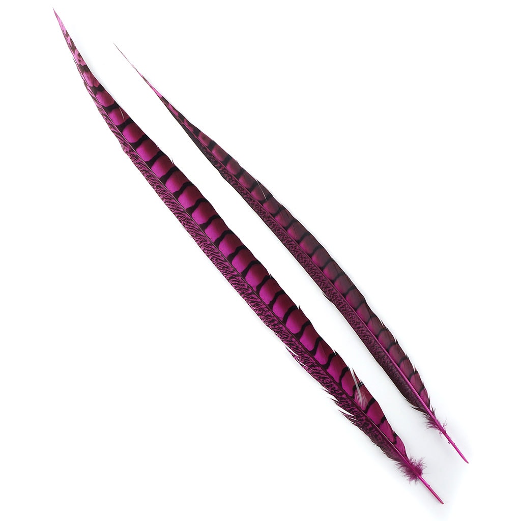 Lady Amherst Pheasant Tails Dyed 1pc Per Package Fl Fuchsia - Feathers