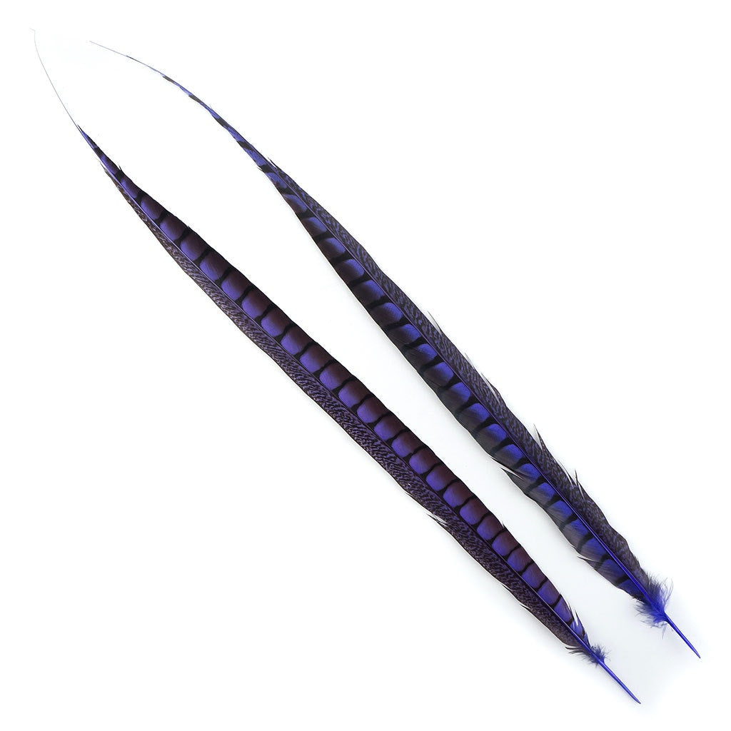 Lady Amherst Pheasant Tails Dyed 1pc Per Package Fl Lilac - Feathers