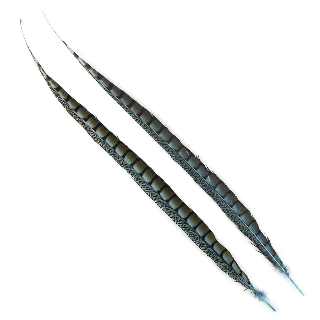 Lady Amherst Pheasant Tails Dyed 1pc Per Package Lt Turquoise - Feathers