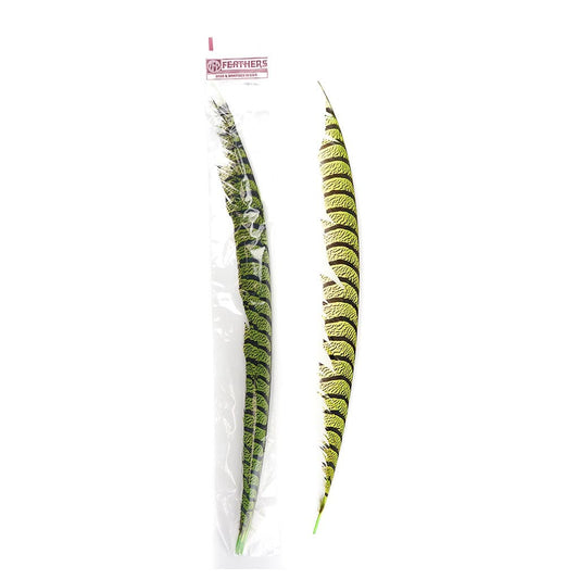 Lady Amherst Pheasant Tails - Lime - Feathers