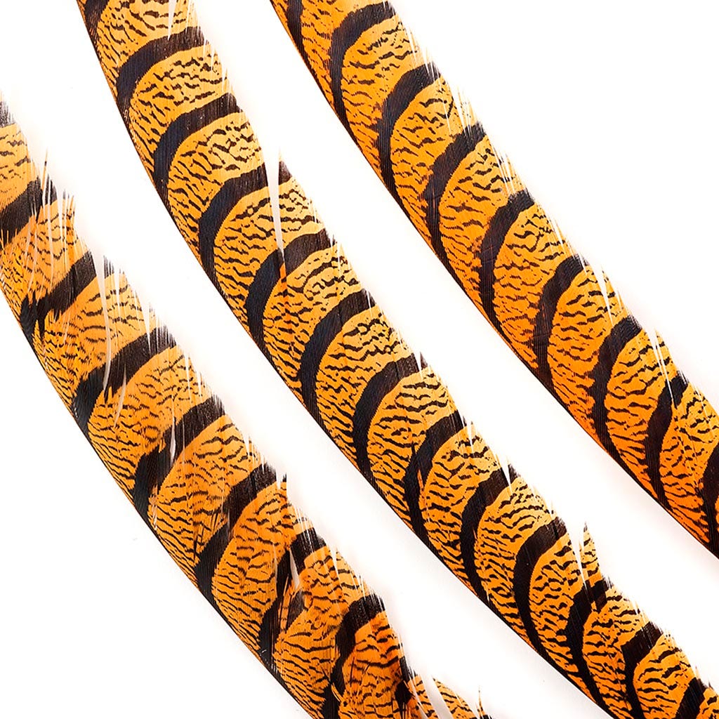 Lady Amherst Pheasant Tails - Mango - Feathers