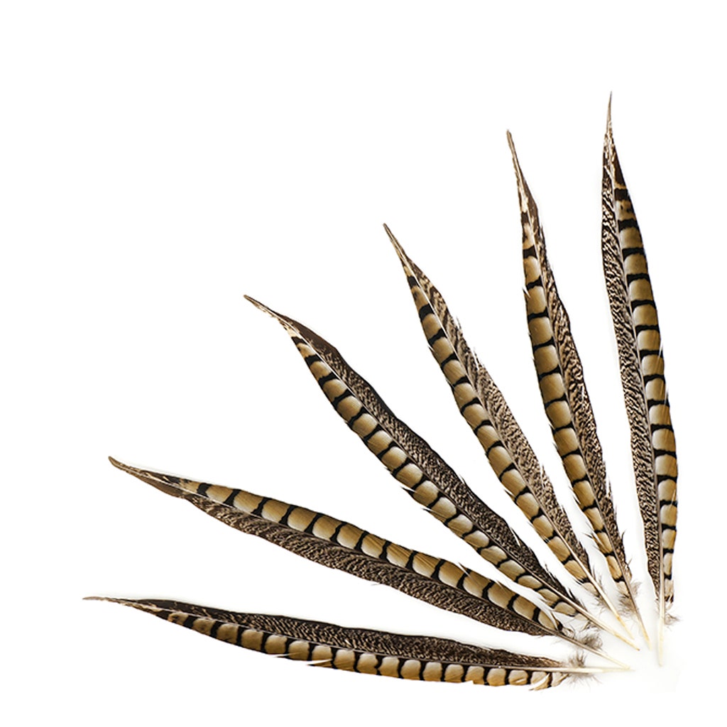 Lady Amherst Pheasant Tails - Natural - 12 - 16’’ - Feathers