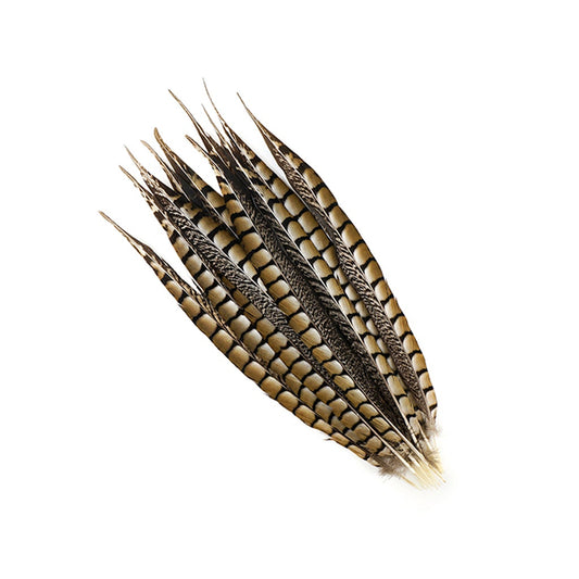 Lady Amherst Pheasant Tails - Natural - 12 - 16’’ - Feathers