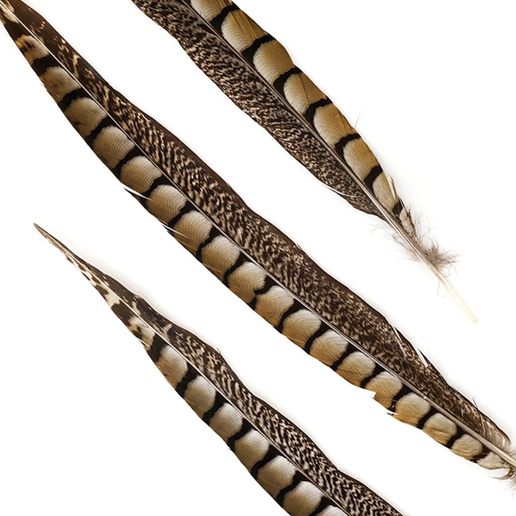 Lady Amherst Pheasant Tails - Natural - 12 - 16’’ - Feathers