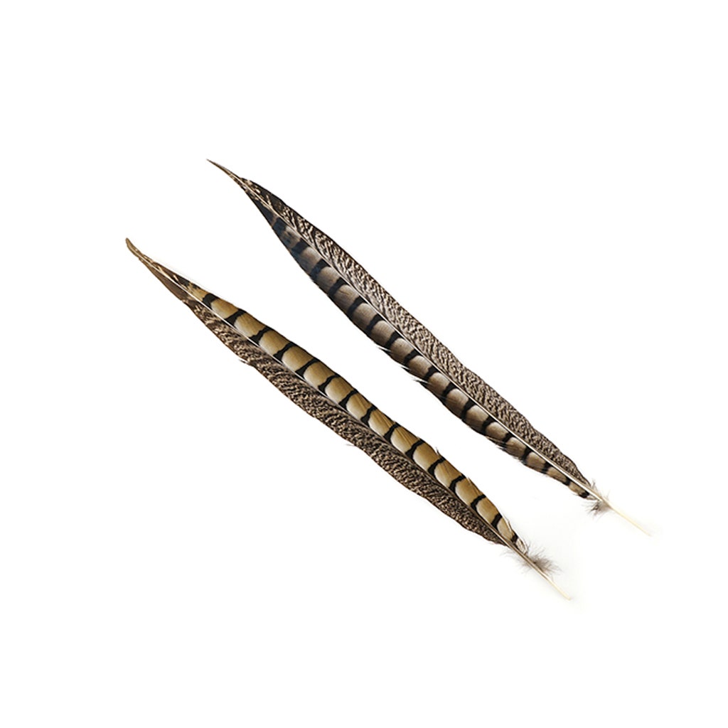 Lady Amherst Pheasant Tails - Natural - 12 - 16’’ - Feathers