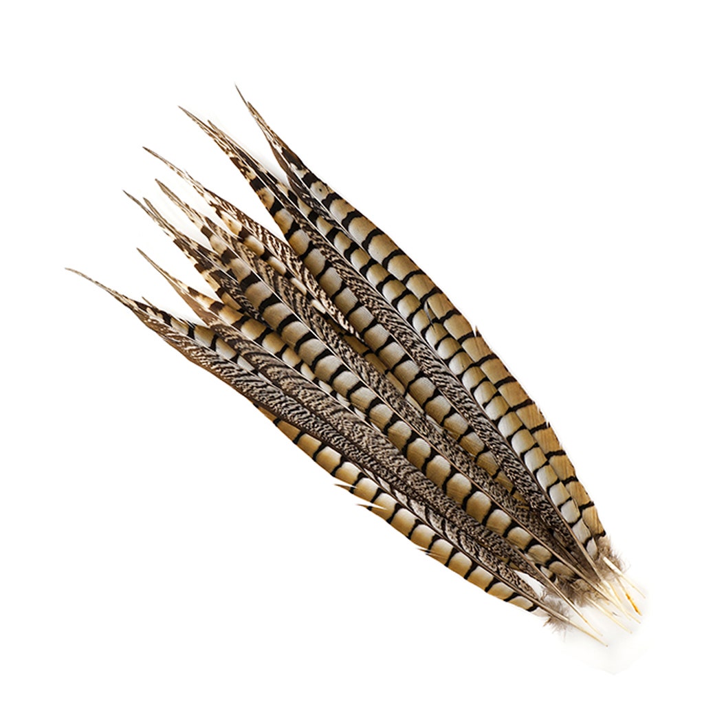 Lady Amherst Pheasant Tails - Natural - 16 - 20’’ 12 pcs - Feathers