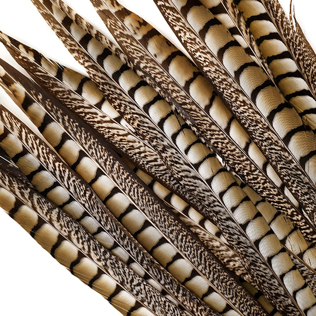 Lady Amherst Pheasant Tails - Natural - 20 - 30’’ - Feathers