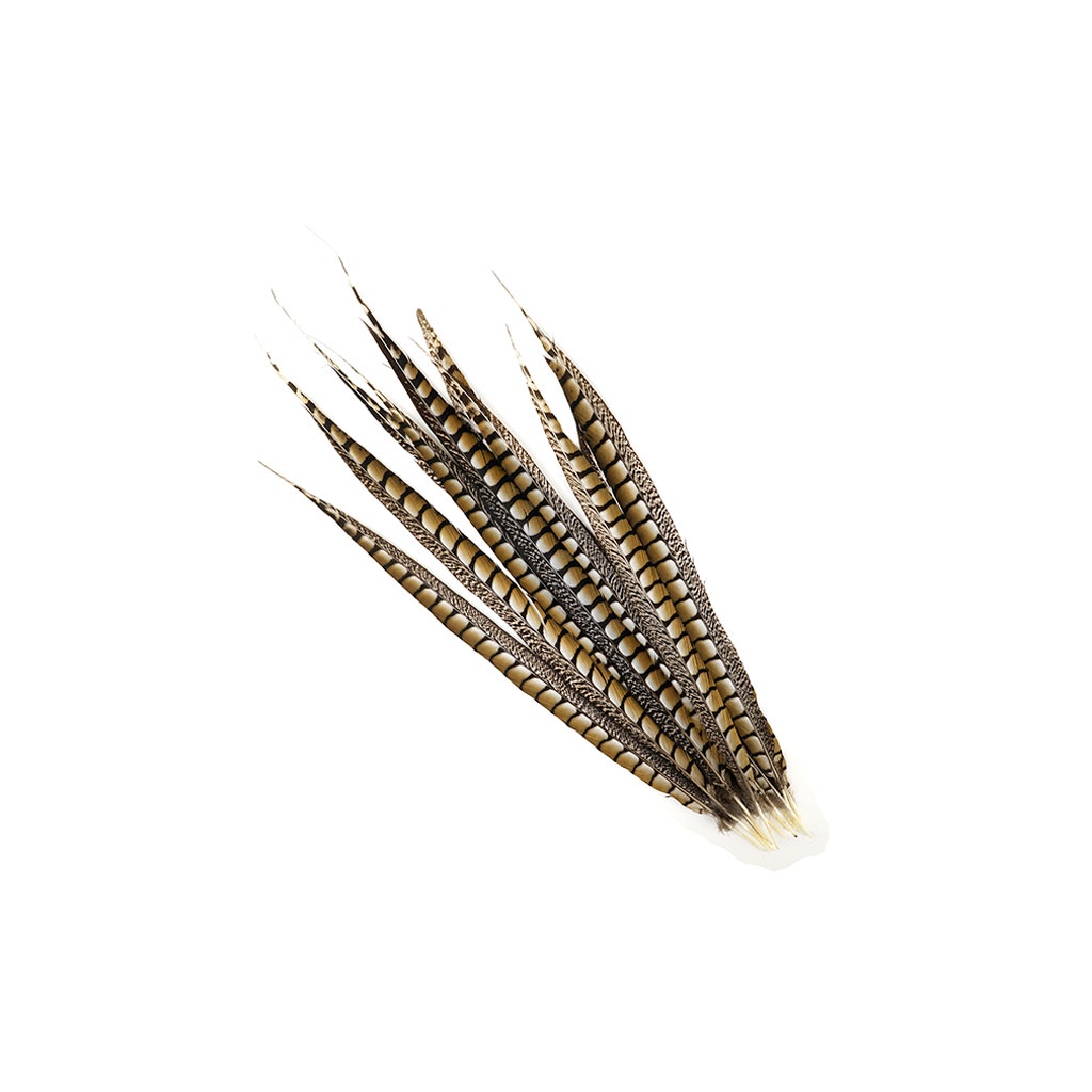 Lady Amherst Pheasant Tails - Natural - 20 - 30’’ - Feathers