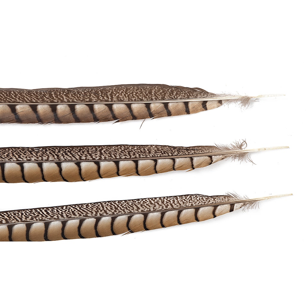 Lady Amherst Pheasant Tails - Natural - 20 - 30’’ - Feathers