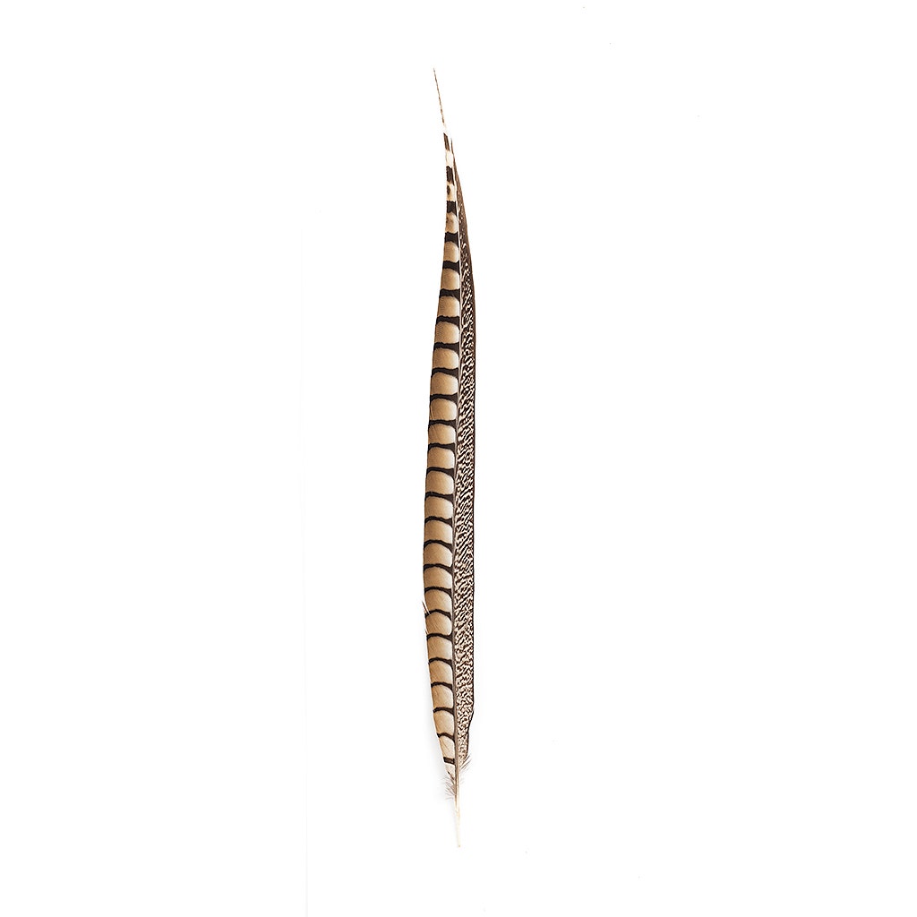 Lady Amherst Pheasant Tails - Natural - 20 - 30’’ - Feathers