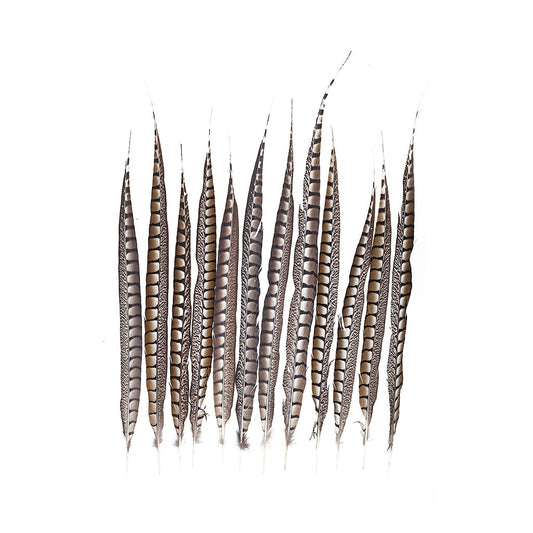 Lady Amherst Pheasant Tails - Natural - 20 - 30’’ - Feathers