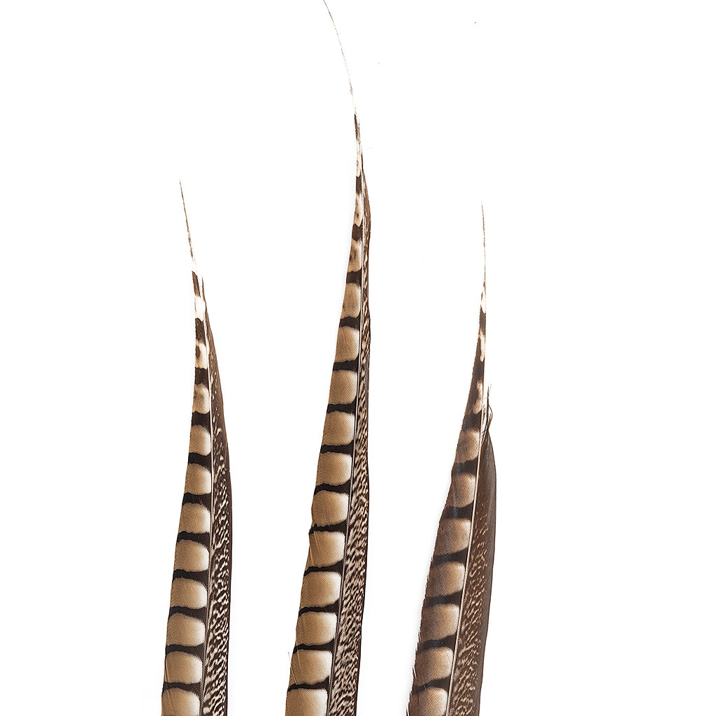 Lady Amherst Pheasant Tails - Natural - 20 - 30’’ - Feathers