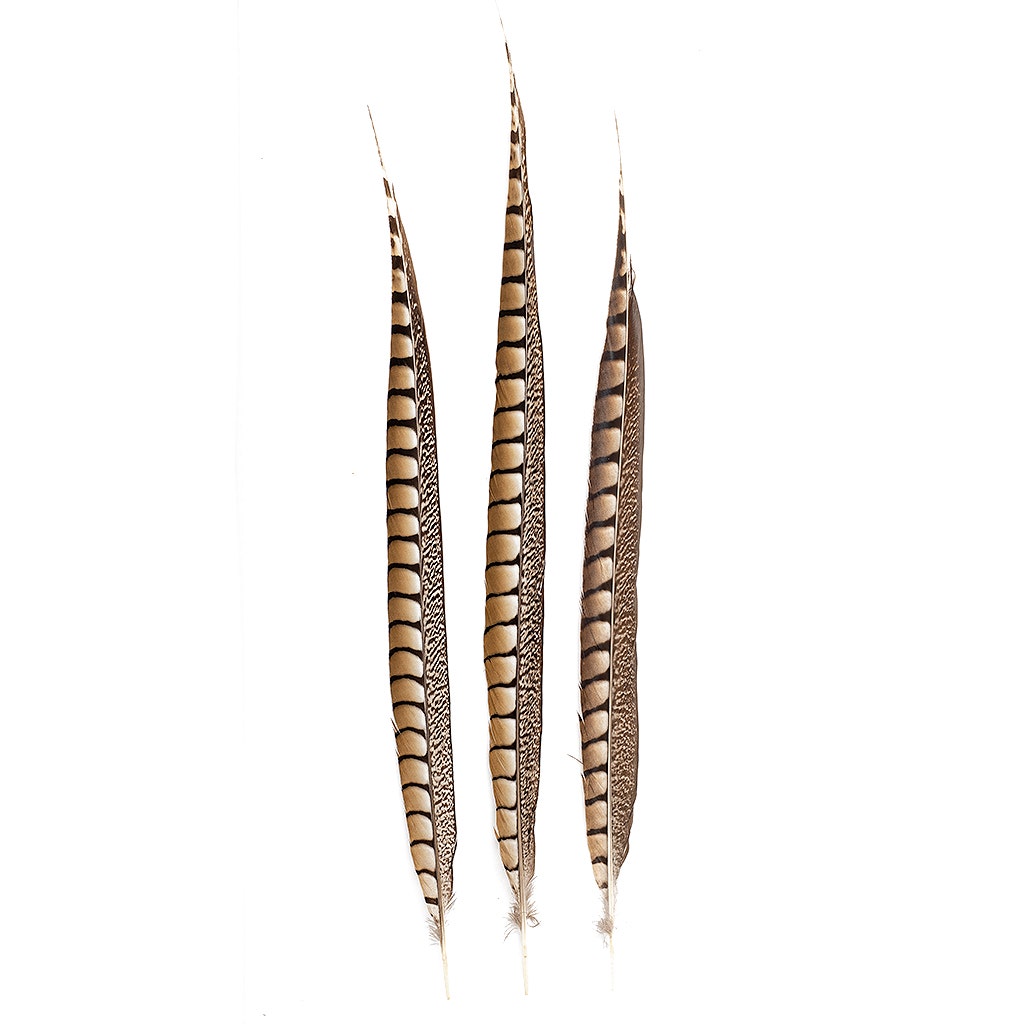 Lady Amherst Pheasant Tails - Natural - 20 - 30’’ - Feathers