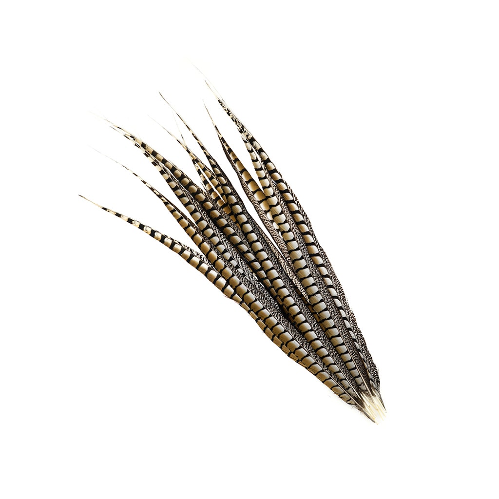 Lady Amherst Pheasant Tails - Natural - 30 - 35’’ - Feathers