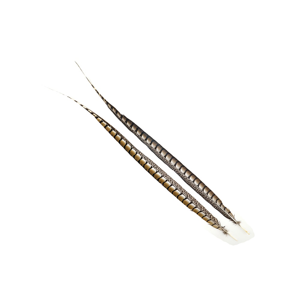 Lady Amherst Pheasant Tails - Natural - 30 - 35’’ - Feathers