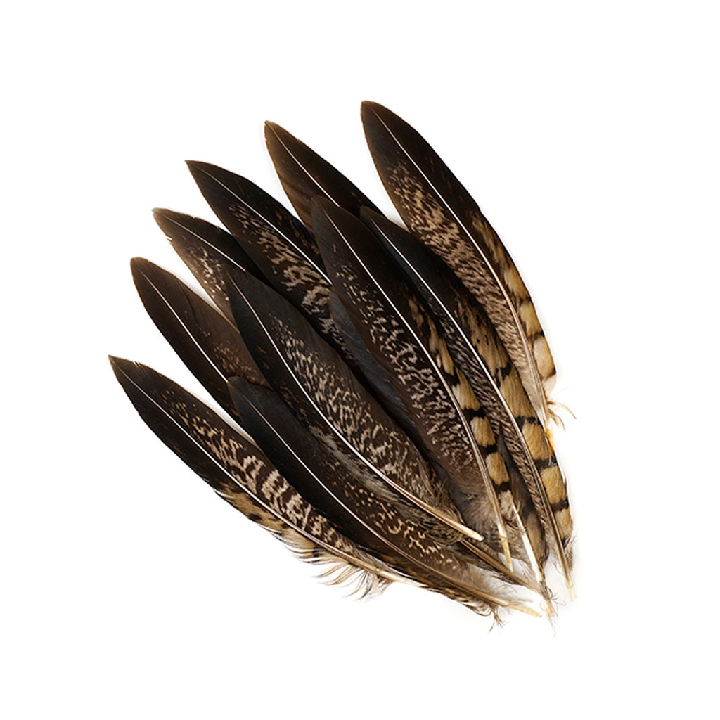 Lady Amherst Pheasant Tails - Natural - 4 - 6’’ - Feathers