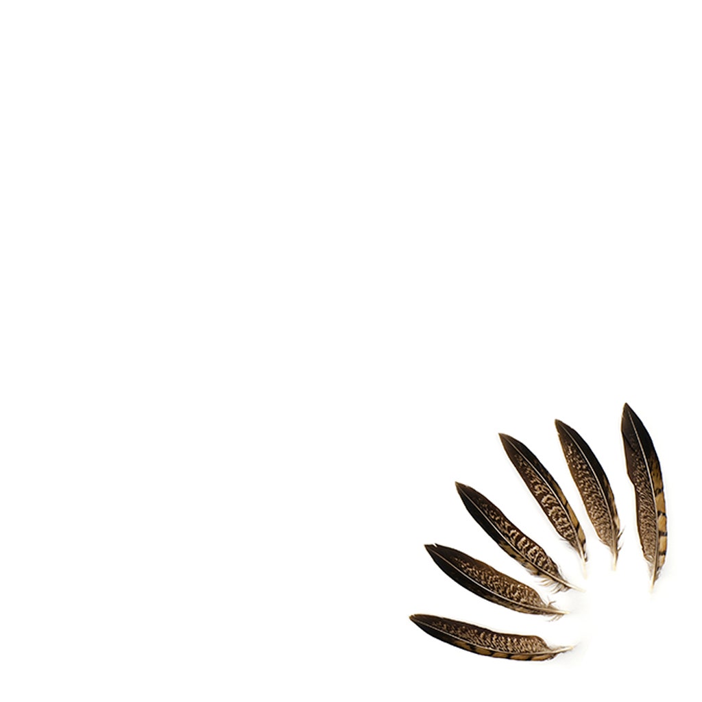 Lady Amherst Pheasant Tails - Natural - 4 - 6’’ - Feathers