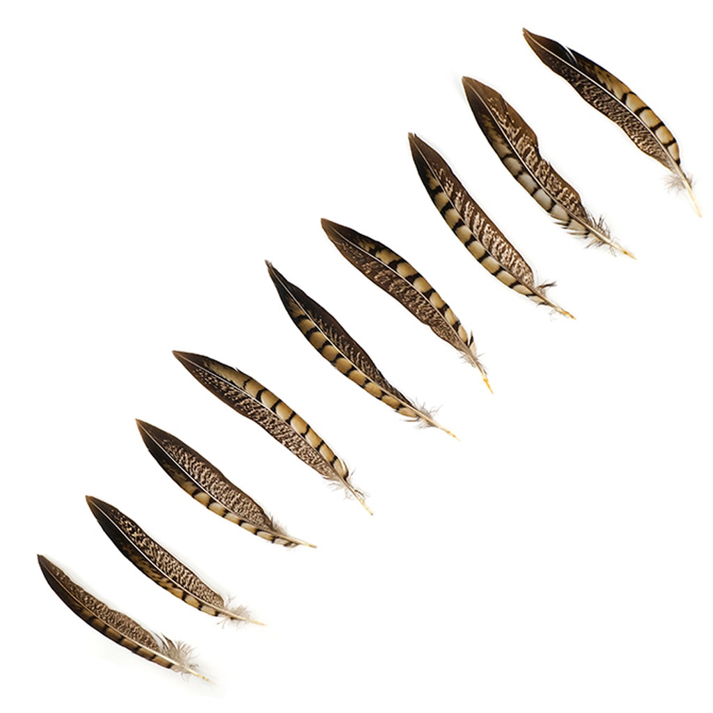 Lady Amherst Pheasant Tails - Natural - 6 - 8’’ - Feathers