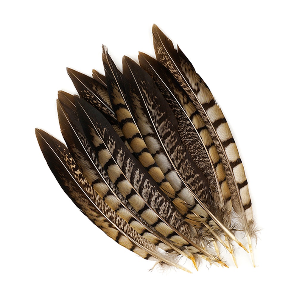 Lady Amherst Pheasant Tails - Natural - 6 - 8’’ - Feathers