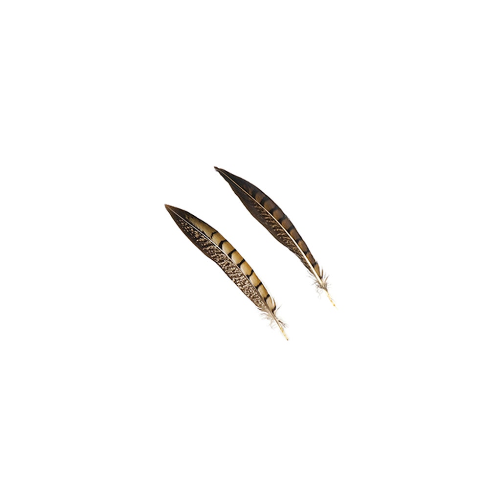 Lady Amherst Pheasant Tails - Natural - 6 - 8’’ - Feathers