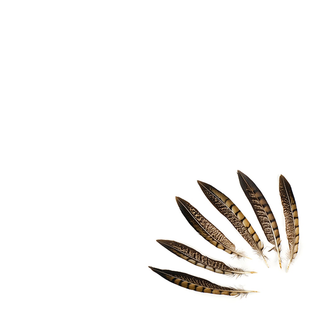 Lady Amherst Pheasant Tails - Natural - 6 - 8’’ - Feathers