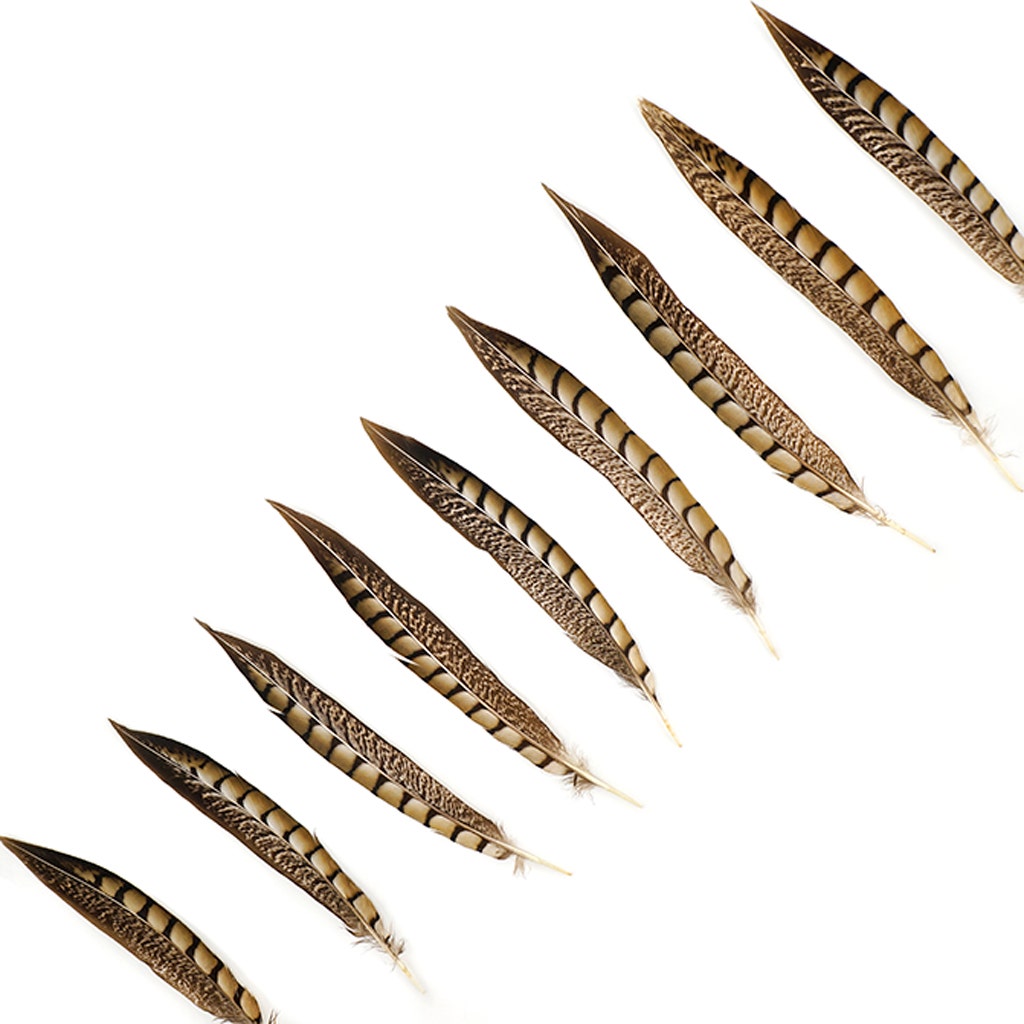 Lady Amherst Pheasant Tails - Natural - 8 - 12’’ - Feathers