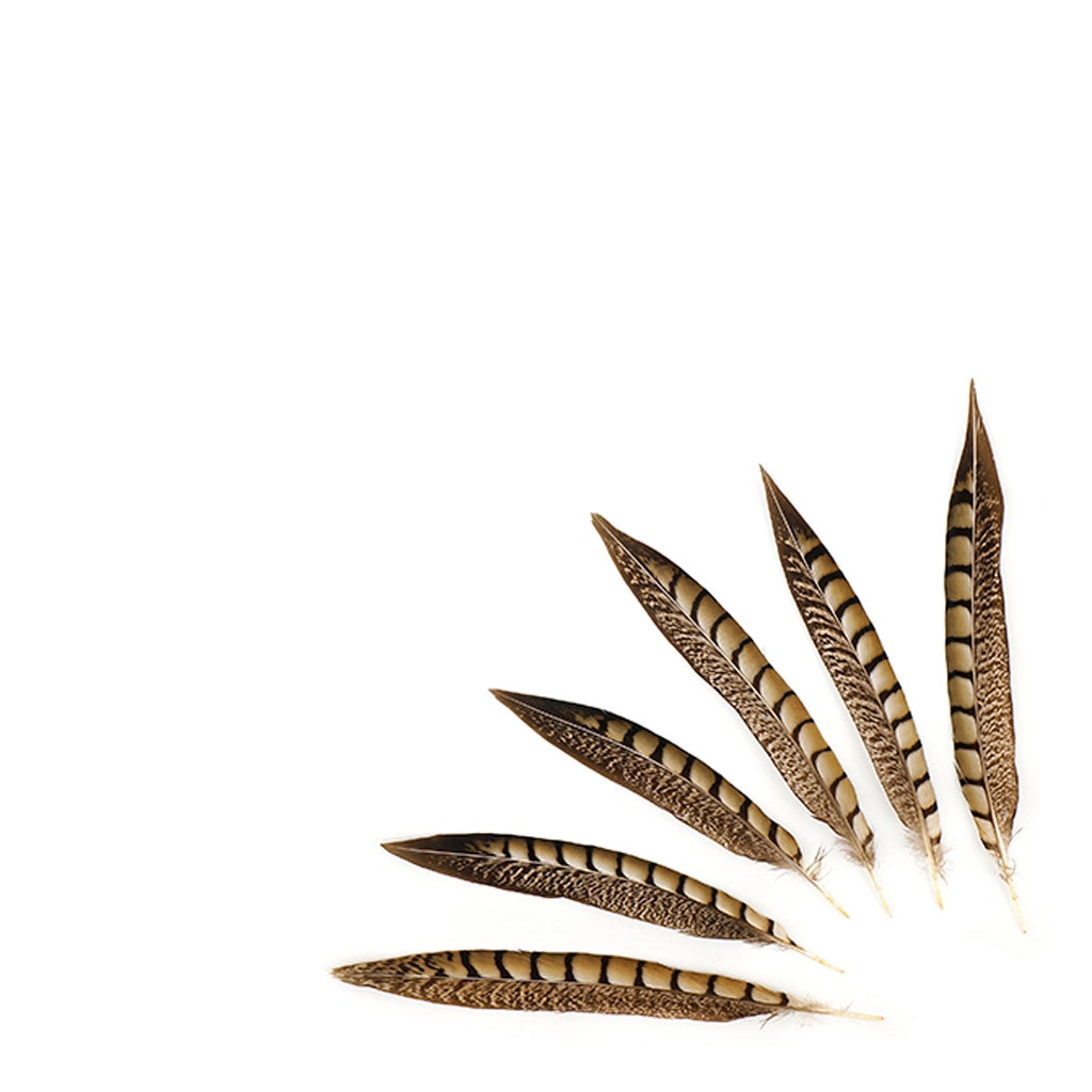 Lady Amherst Pheasant Tails - Natural - 8 - 12’’ - Feathers