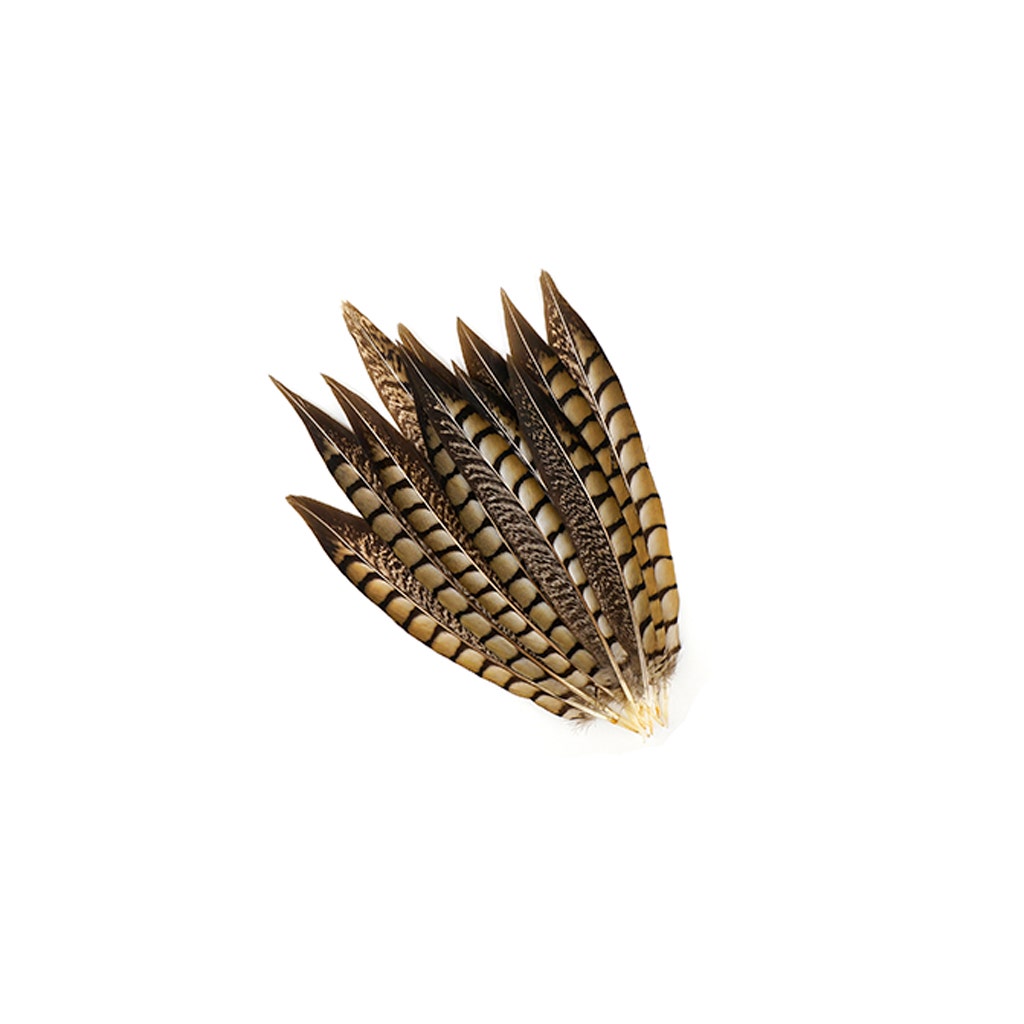 Lady Amherst Green Pheasant Feathers – 25pcs, DIY Craft Millinery Jewellery Making