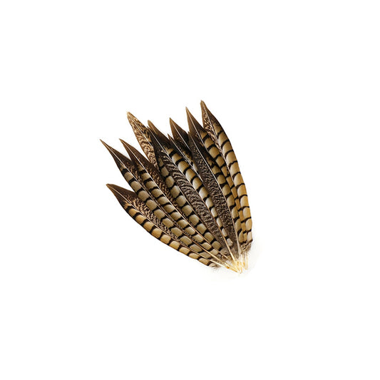 Lady Amherst Pheasant Tails - Natural - 8 - 12’’ - Feathers