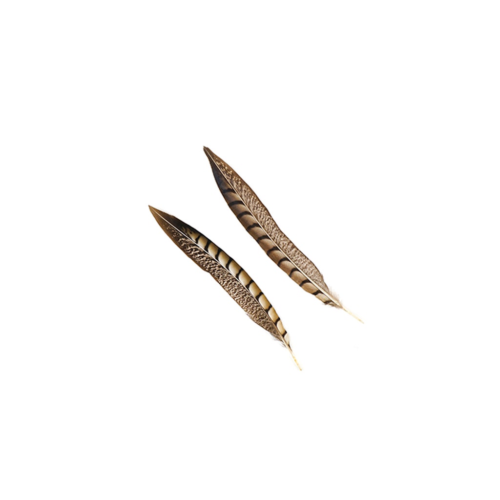 Lady Amherst Pheasant Tails - Natural - 8 - 12’’ - Feathers