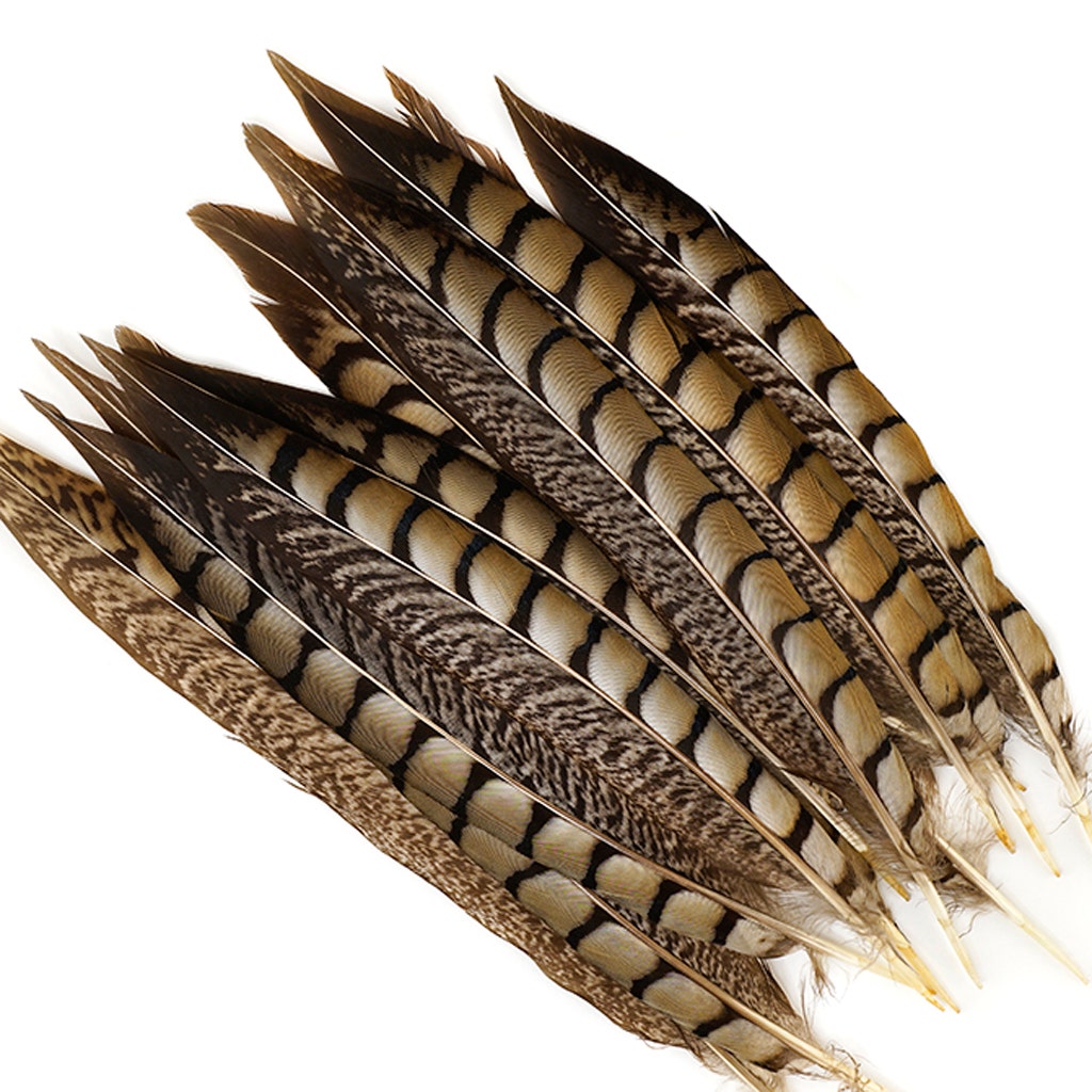 Lady Amherst Pheasant Tails - Natural - 8 - 12’’ - Feathers