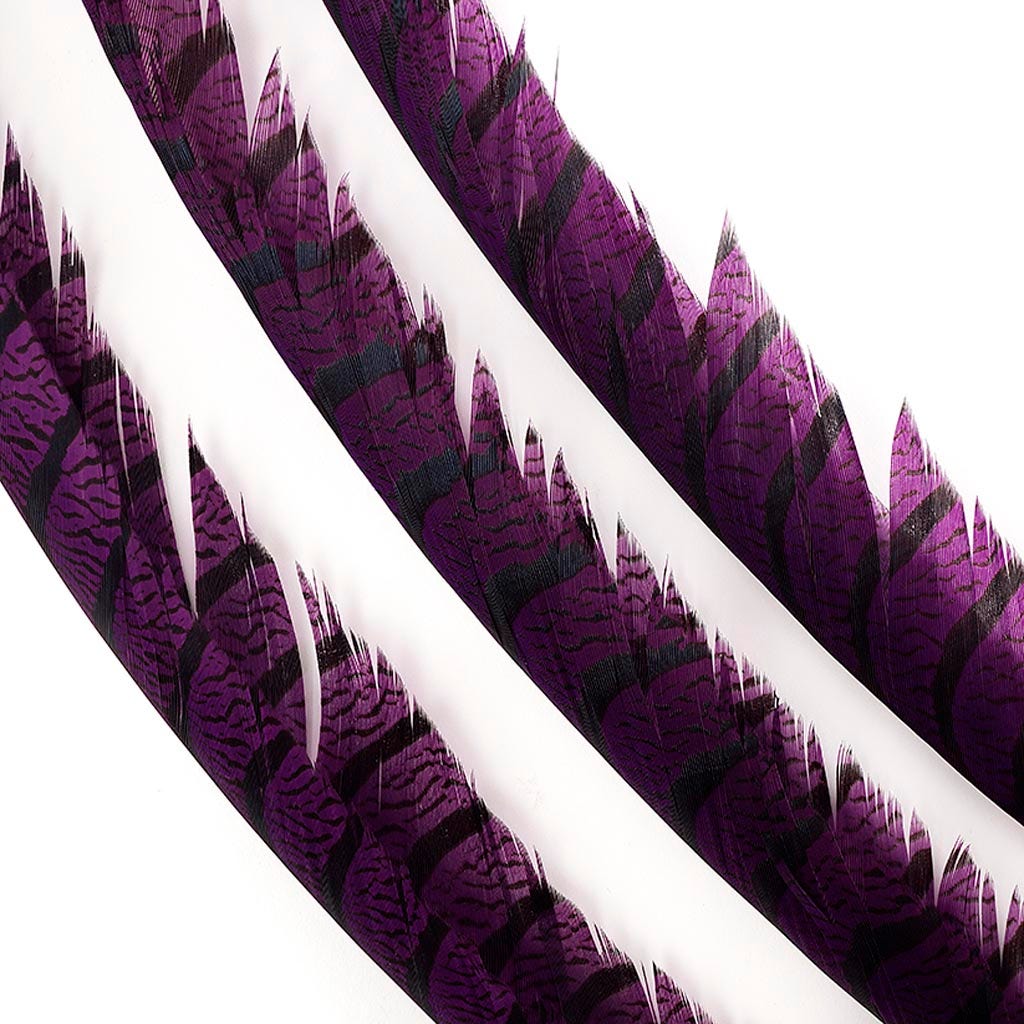 Lady Amherst Pheasant Tails - Purple - Feathers