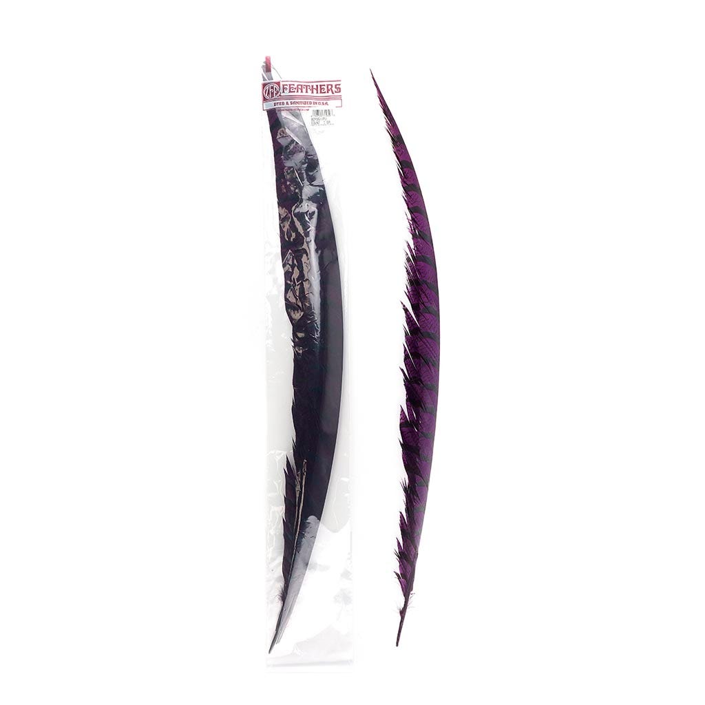 Lady Amherst Pheasant Tails - Purple - Feathers